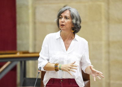 La presidenta del Grupo Mixto-Adelante Andaluc�a, Miren Bego�e Iza, pregunta a la consejera de Salud sobre los cuidados paliativos pedi�tricos  