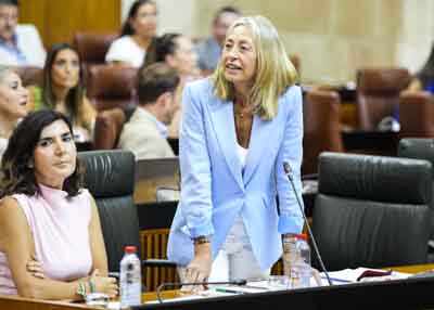 Roc�o Hern�ndez, consejera de Salud y Consumo, responde a las preguntas que le formulan 