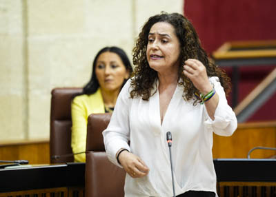  La portavoz de Por Andaluc�a, Inmaculada Nieto, pregunta al presidente de la Junta sobre el fomento de valores en la acci�n de gobierno 
