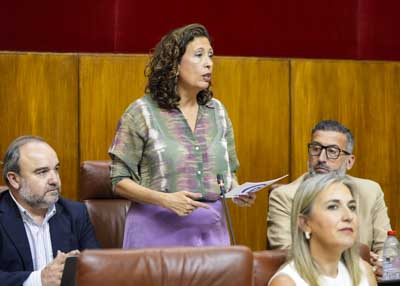 A propuesta del Grupo Popular de Andaluc�a, Ana Chocano formula una pregunta oral en pleno relativa a la vivienda en Sevilla 