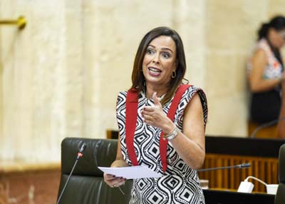 Roc�o D�az, consejera de Fomento, Articulaci�n del Territorio y Vivienda, responde a la diputada 
