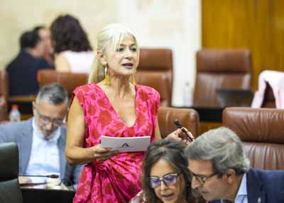 Patricia del Pozo, consejera de Cultura y Deporte, da respuesta a la cuesti�n que le plantean 