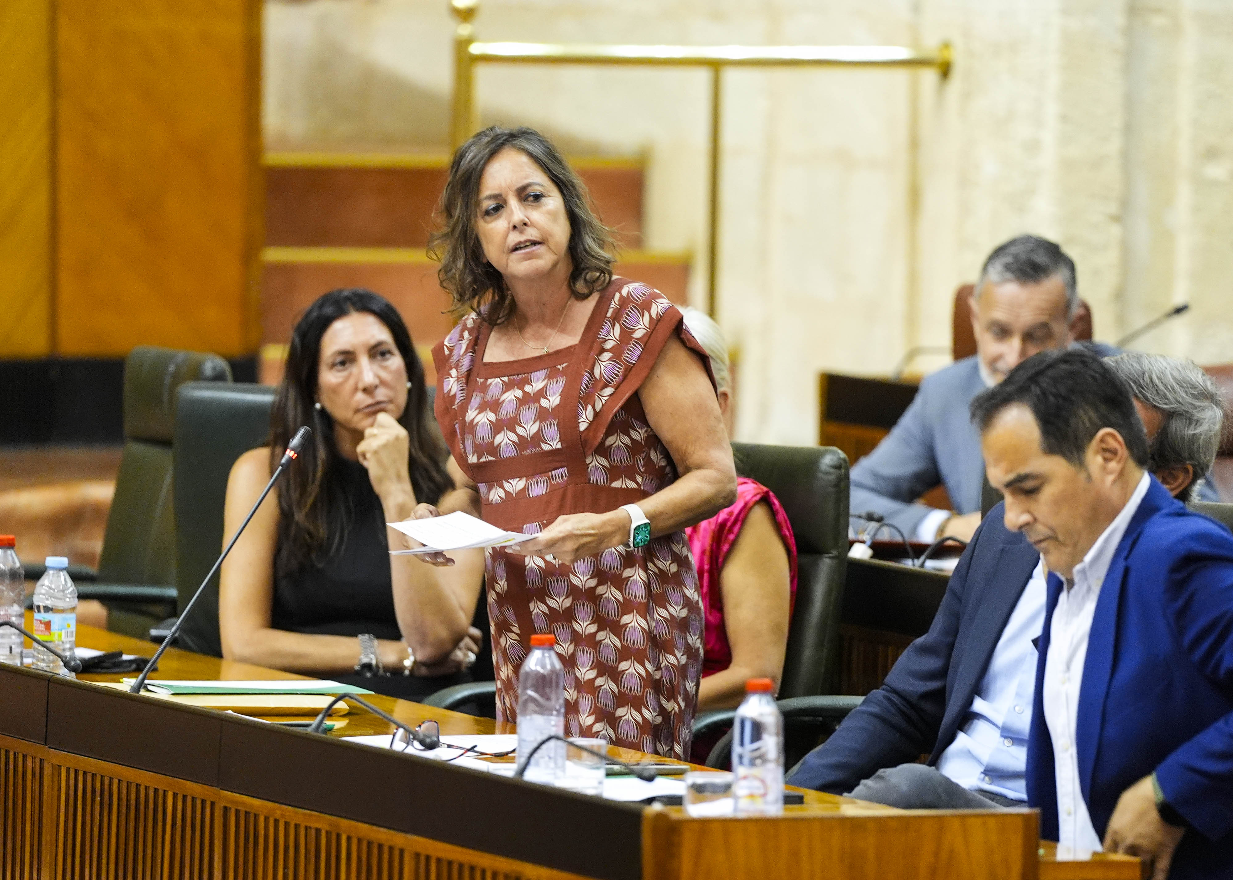 Catalina Garc�a, consejera de Sostenibilidad y Medio Ambiente, responde a la cuesti�n de m�xima actualidad 