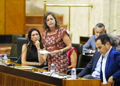 Catalina Garc�a, consejera de Sostenibilidad y Medio Ambiente, responde a la cuesti�n de m�xima actualidad 