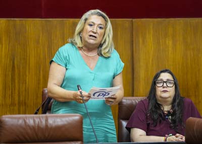 Trinidad Herrera, del Grupo Popular, cierra el punto cuarto del orden del d�a con una pregunta sobre los avances en infraestructuras judiciales de Granada 