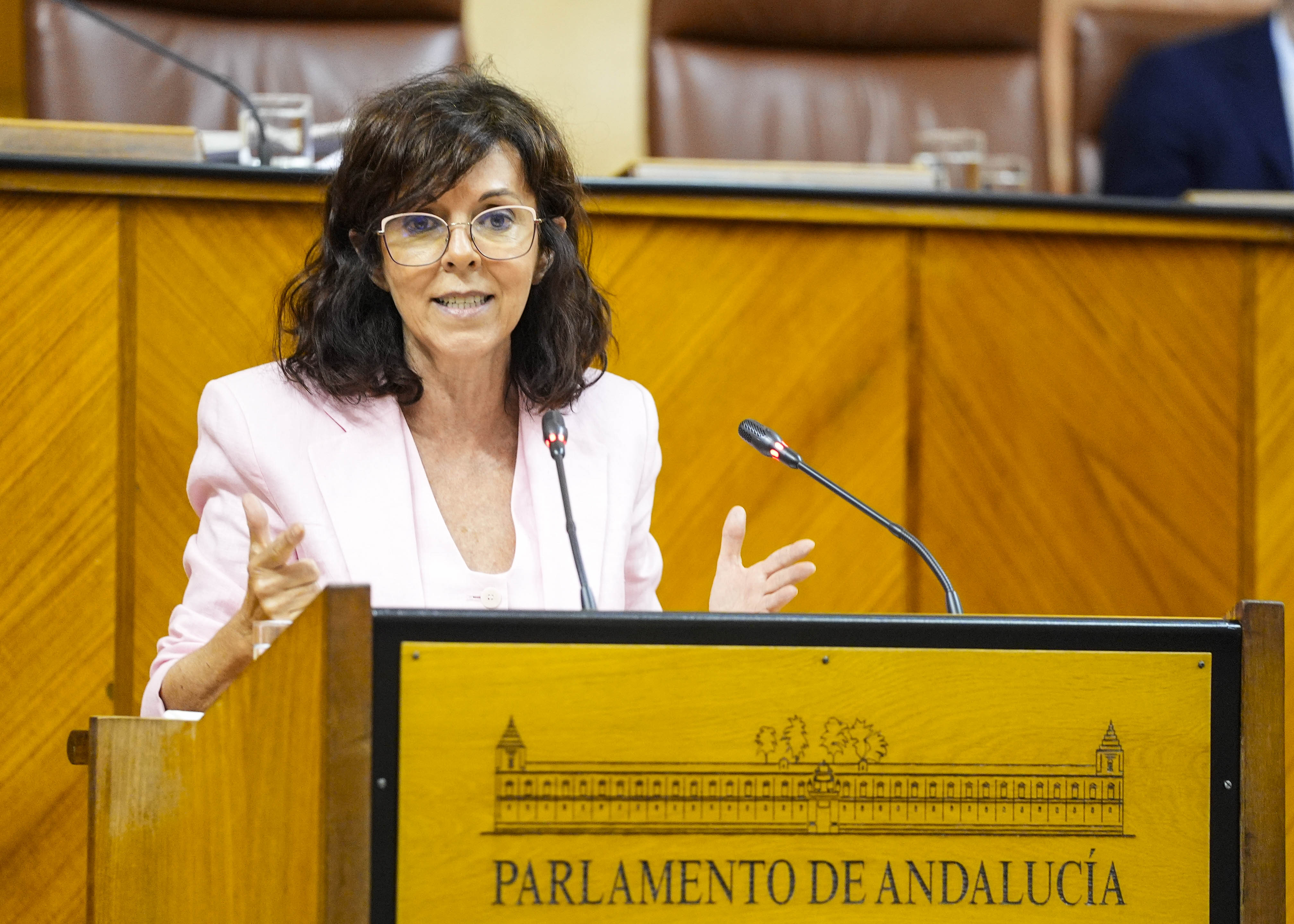 Mar�a �ngeles Prieto, del G.P. Socialista, argumenta una PNLP relativa a actualizaci�n de la bolsa �nica de empleo del Servicio Andaluz de Salud y publicaci�n de listados definitivos para enfermeras y �reas espec�ficas 