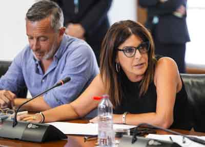 Mara de los ngeles Frriz, portavoz adjunta del Grupo Socialista, durante su intervencin 