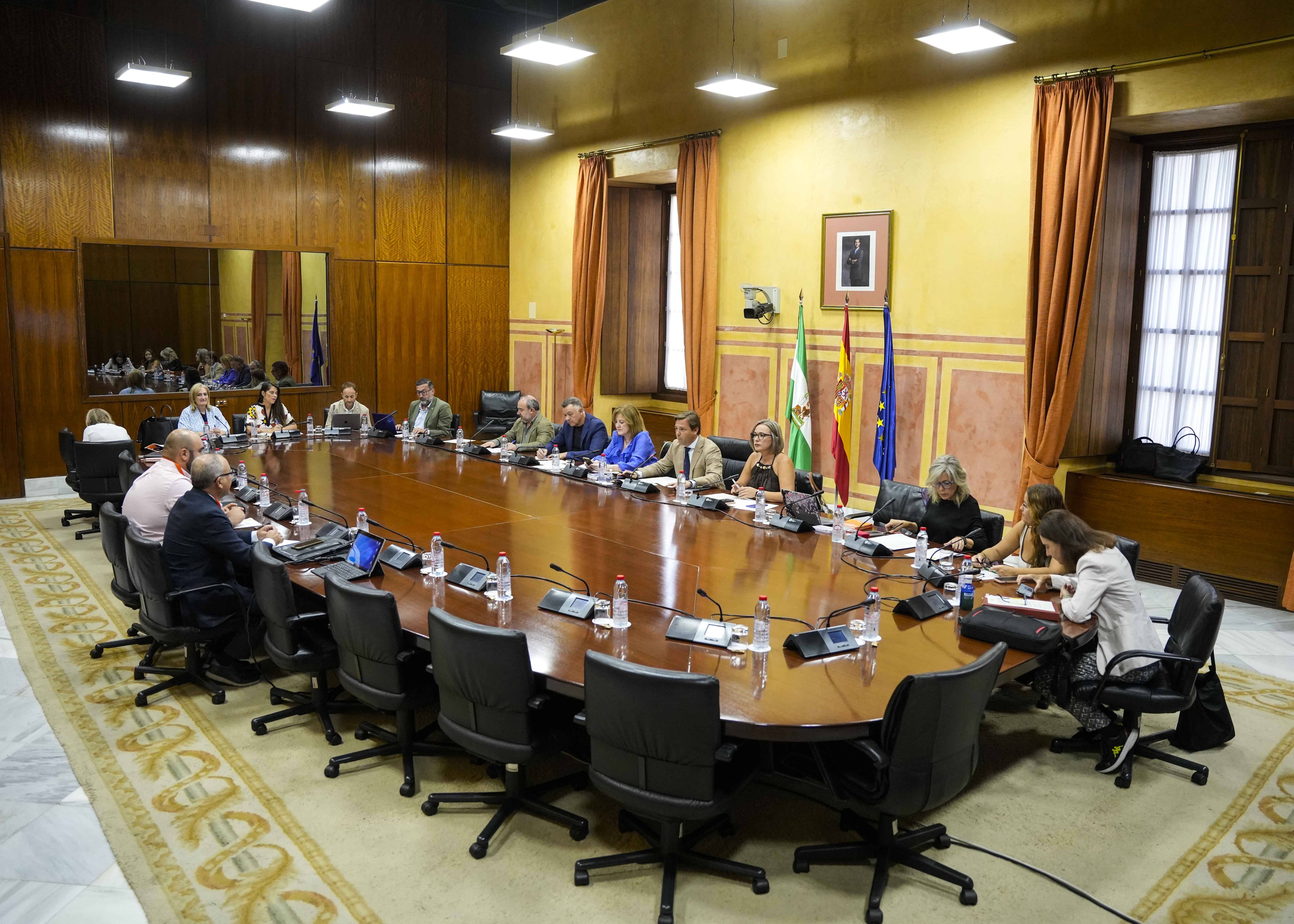 La Comisin de Agricultura, Pesca, Agua y Desarrollo Rural al inicio de la primera de las comparecencias de esta maana correspondiente a la Coordinadora de Organizaciones de Agricultores y Ganaderos de Andaluca (COAG Andaluca)
