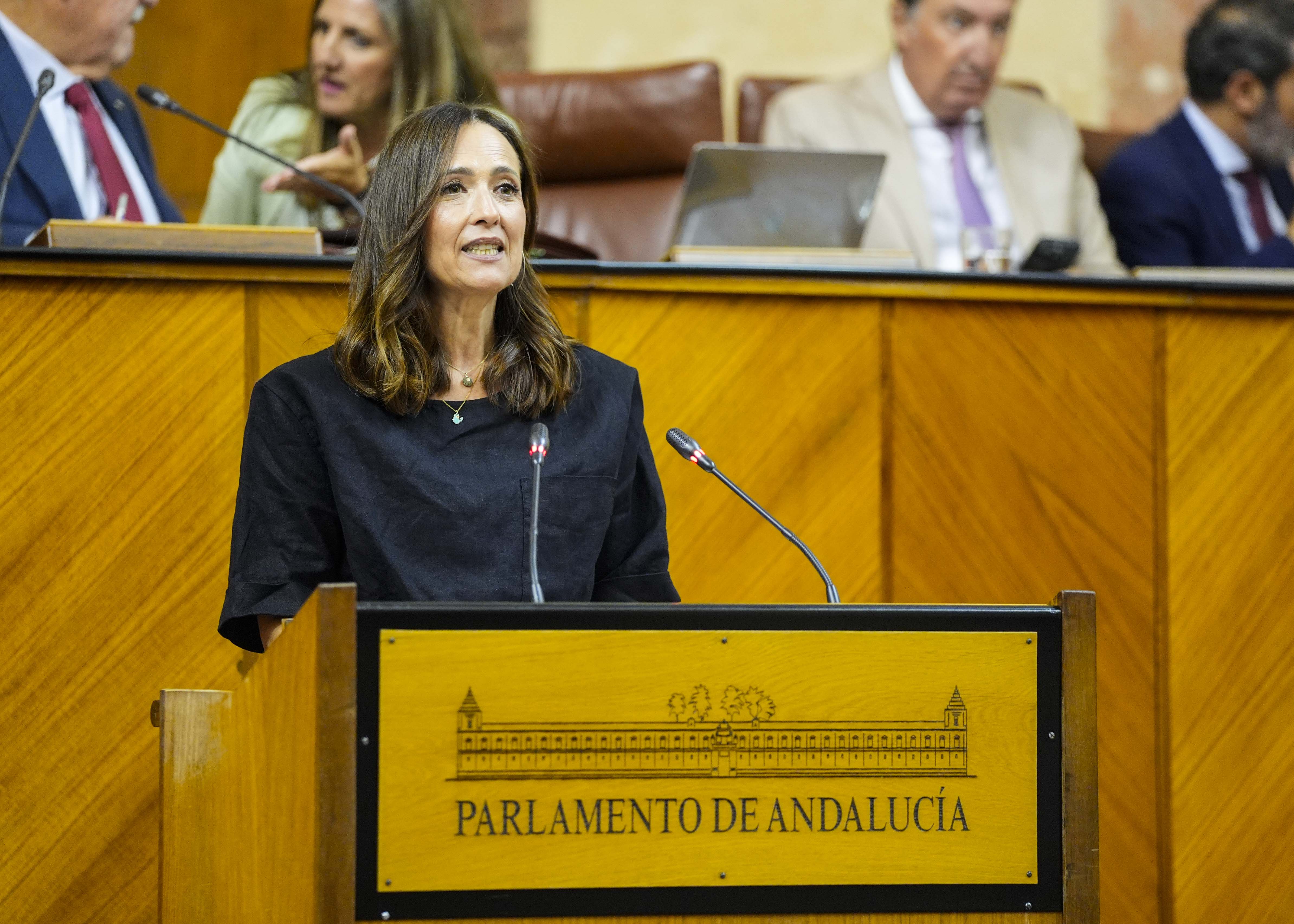   Mara Isabel Lozano, del Grupo Popular, solicita al Pleno la toma en consideracin de la proposicin de ley relativa al tercer sector de accin social de Andaluca, presentada de forma conjunta por los grupos Popular, Socialista y Mixto-Adelante Andaluca  