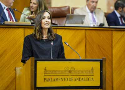   Mara Isabel Lozano, del Grupo Popular, solicita al Pleno la toma en consideracin de la proposicin de ley relativa al tercer sector de accin social de Andaluca, presentada de forma conjunta por los grupos Popular, Socialista y Mixto-Adelante Andaluca  