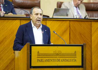 Por el Grupo Socialista, tambin autor de la iniciativa relativa al tercer sector de accin social de Andaluca, interviene Jos Luis Ruiz   
