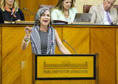 En nombre del G.P. Mixto-Adelante Andaluca, coautor de la proposicin de ley relativa al tercer sector de accin social de Andaluca, interviene su presidenta, Miren Begoe Iza  