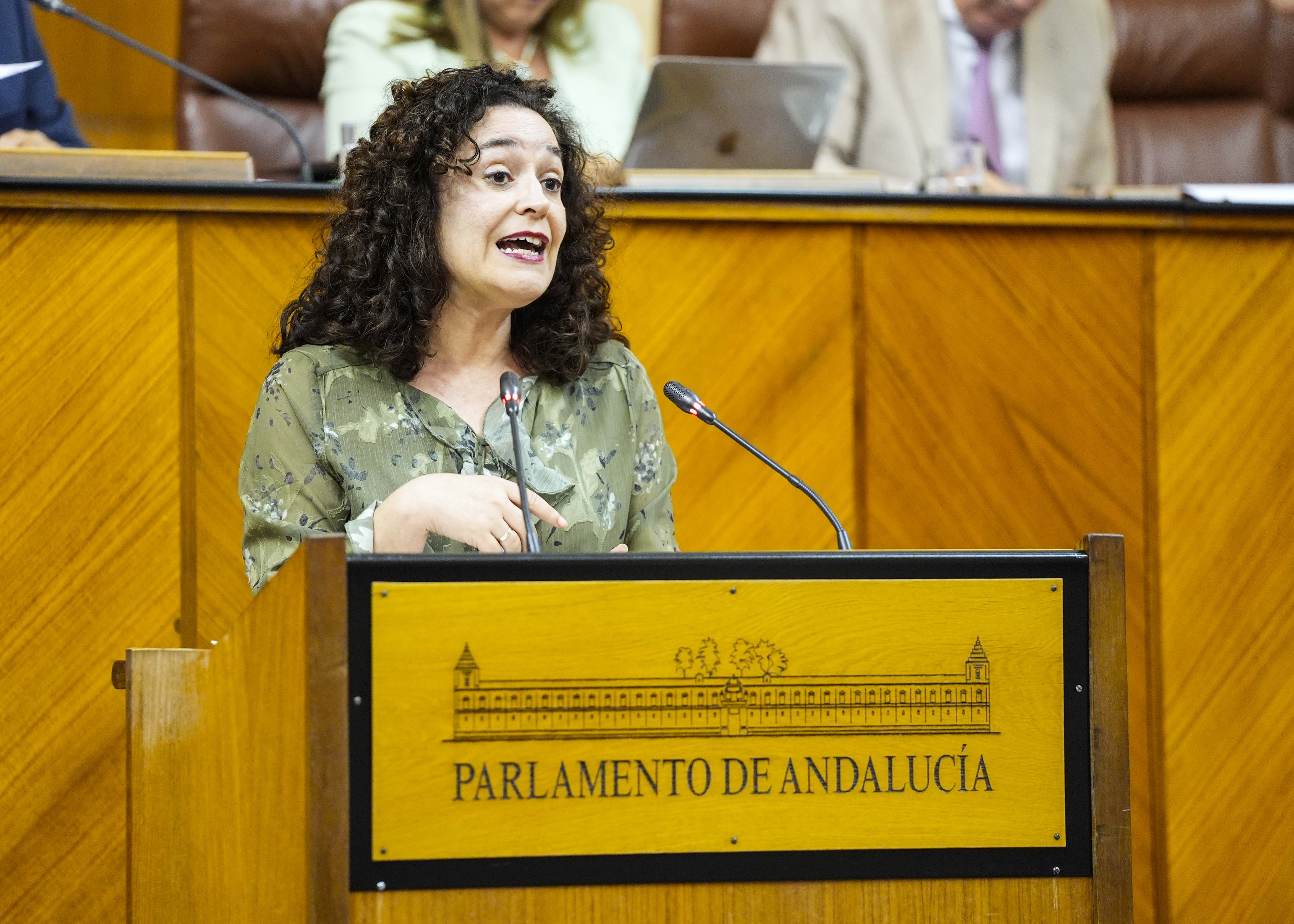 La portavoz del G.P. Por Andaluca, Inmaculada Nieto, posiciona a su grupo parlamentario en el debate de la proposicin de ley 