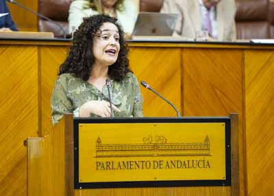 La portavoz del G.P. Por Andaluca, Inmaculada Nieto, posiciona a su grupo parlamentario en el debate de la proposicin de ley 