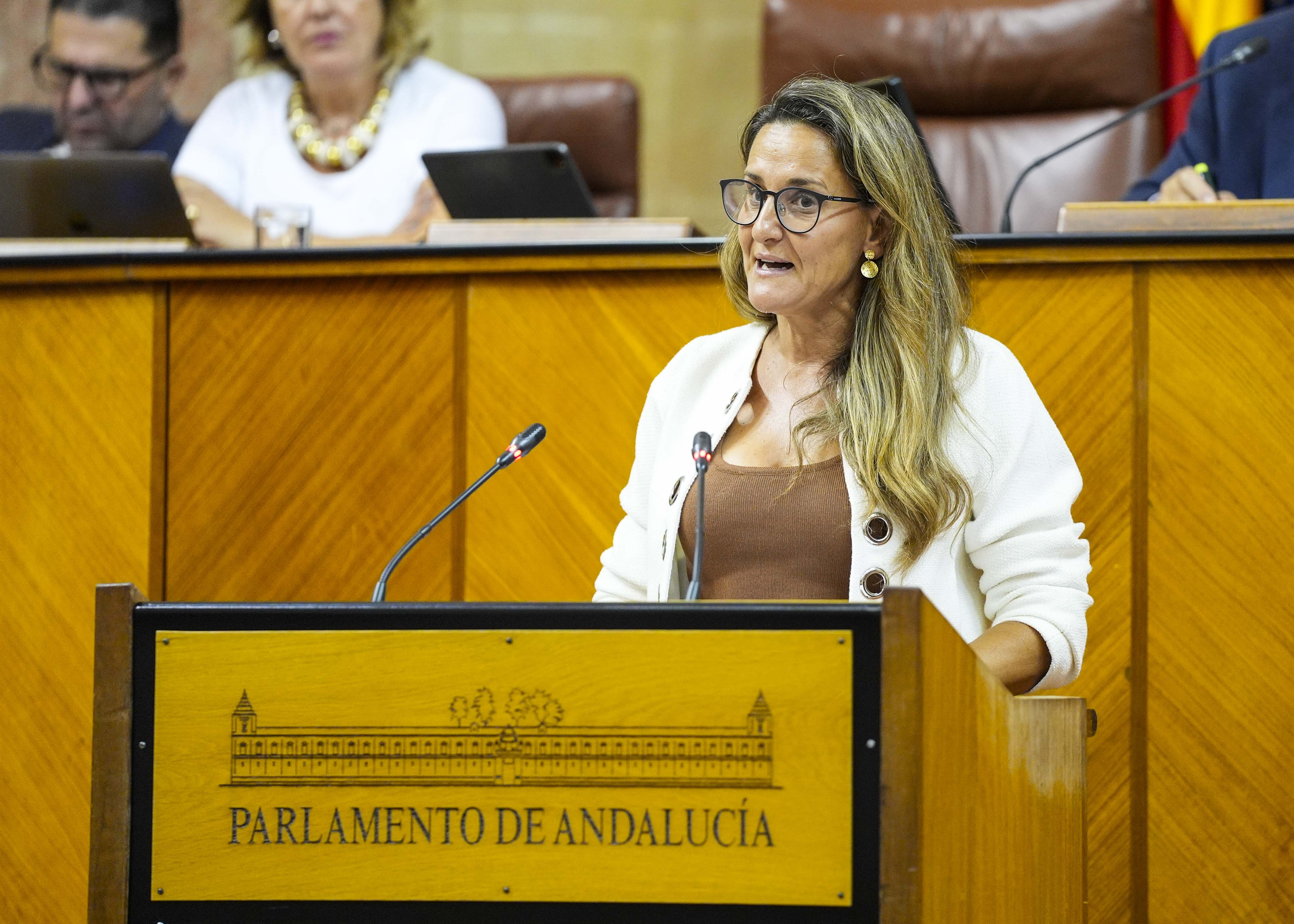En el turno de posicionamiento respecto de la proposicin de ley del Grupo Vox toma la palabra Montserrat Cervantes   