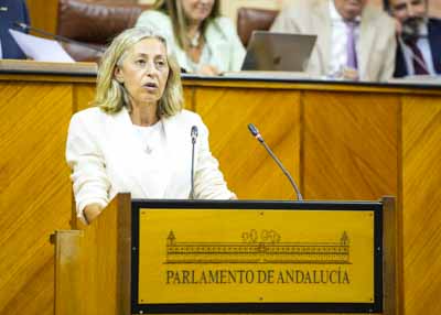   Roco Hernndez, consejera de Salud y Consumo, informa sobre el impacto en el sistema sanitario pblico de Andaluca de destinar ms de quinientos millones de euros a nuevos conciertos sanitarios con entidades privadas  