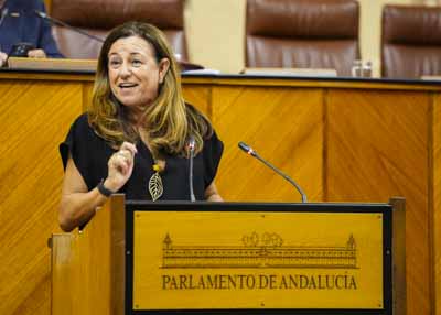 La consejera de Desarrollo Educativo y Formacin Profesional, Mara del Carmen Castillo, comparece para informar sobre el inicio del curso escolar 2025-2026 en Andaluca 