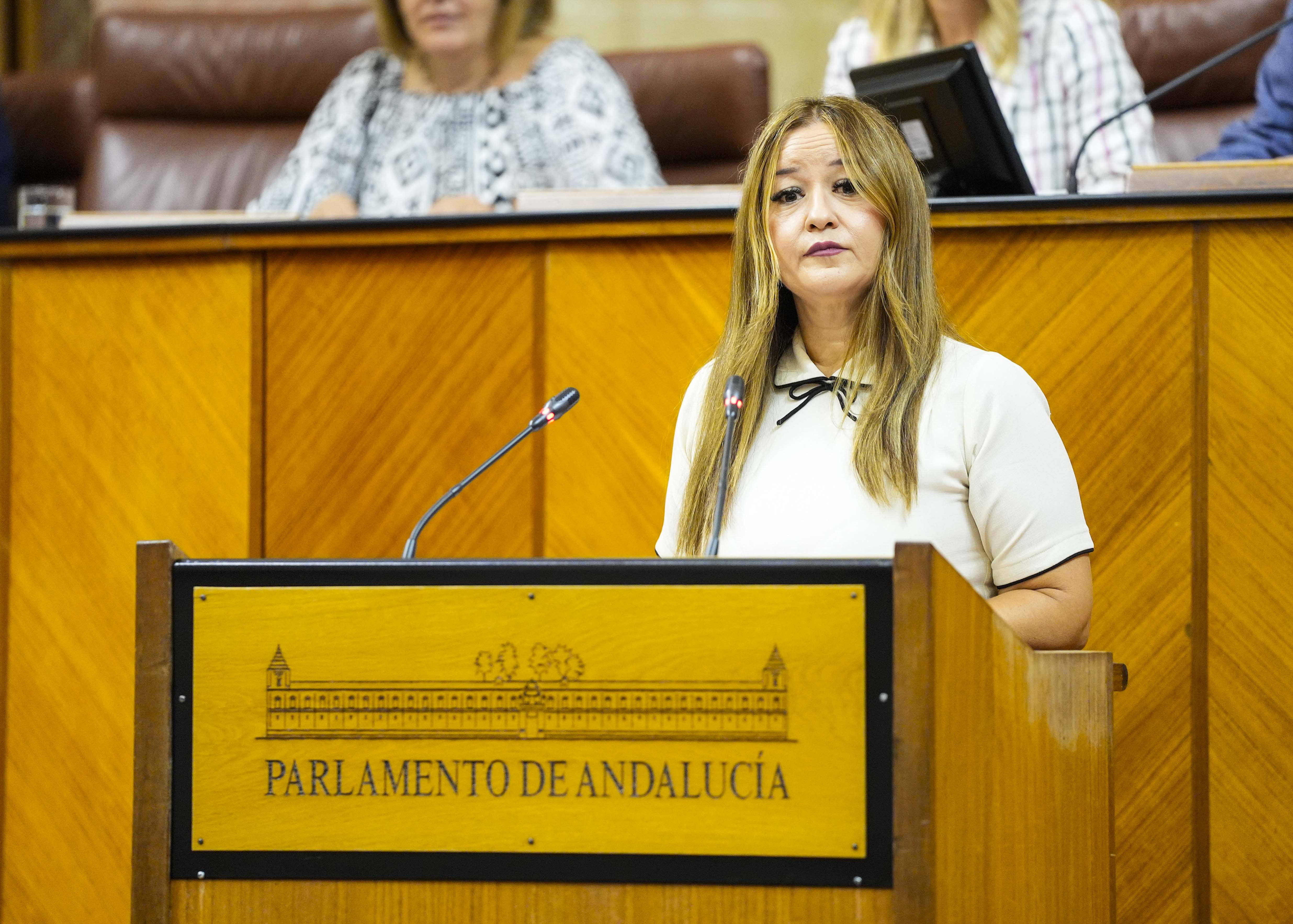 Por el G.P. Socialista, Vernica Prez inicia el pleno con la defensa de una interpelacin relativa a poltica general en materia de vivienda  