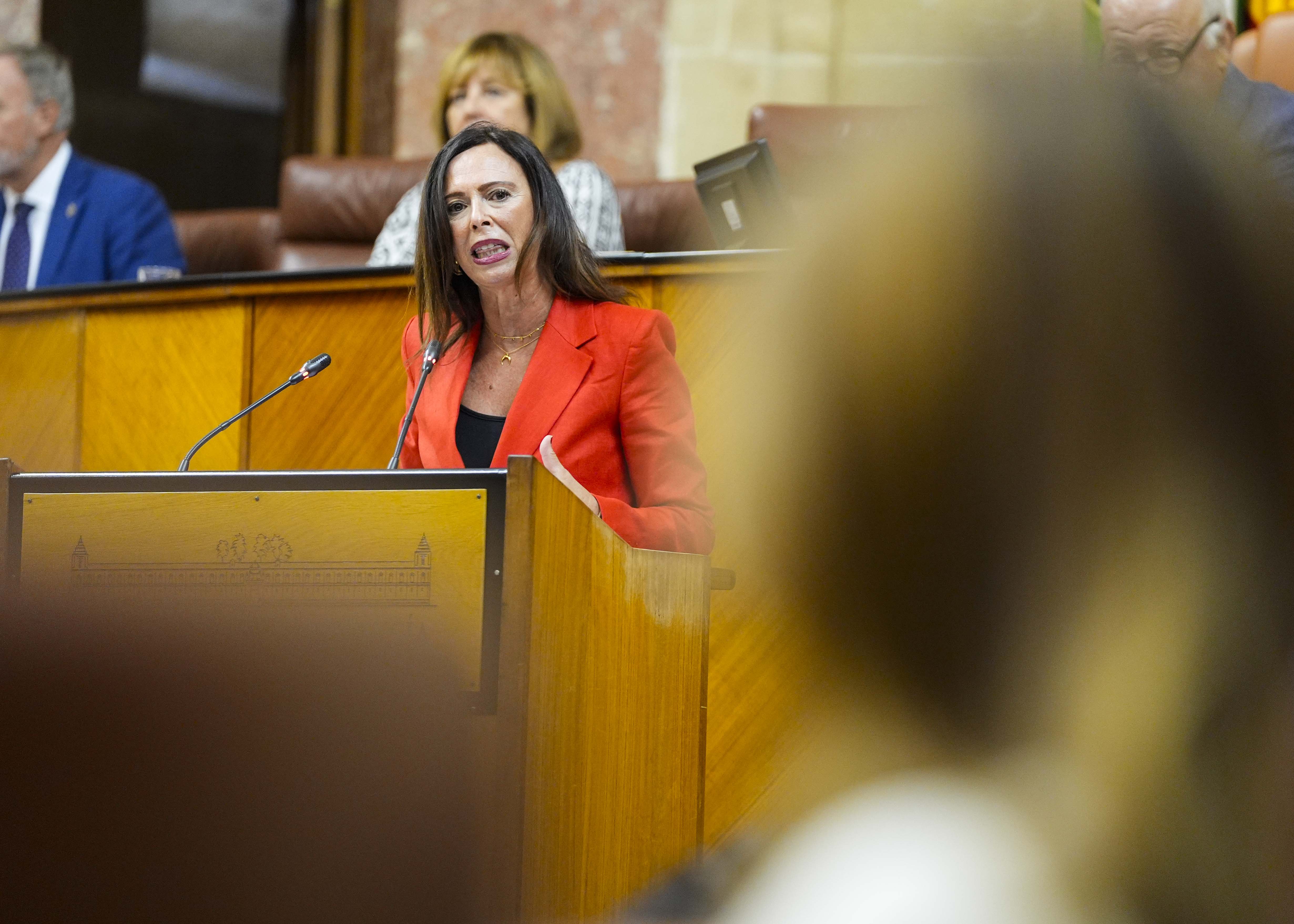 La consejera de Fomento, Articulacin del Territorio y Vivienda, Roco Daz, contesta a la interpelacin que le ha planteado la diputada