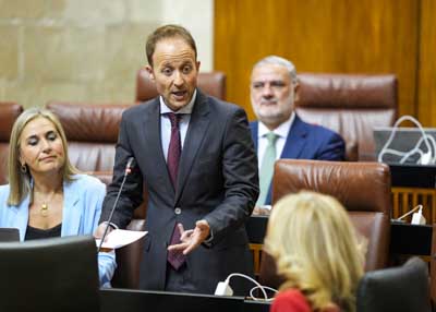  Erik Domnguez, del G.P. Popular, formula una pregunta de mxima actualidad relativa a las repercusiones de la financiacin para Andaluca 