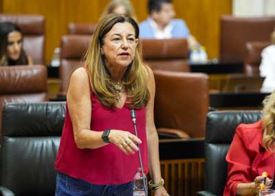Contesta la consejera de Desarrollo Educativo y Formacin Profesional, Mara del Carmen Castillo 