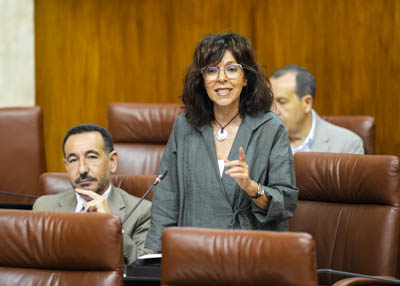  La diputada socialista Mara ngeles Prieto pregunta a la consejera de Salud por la defensa de la sanidad pblica 