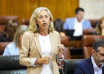 La consejera de Salud y Consumo, Roco Hernndez, responde a la pregunta  