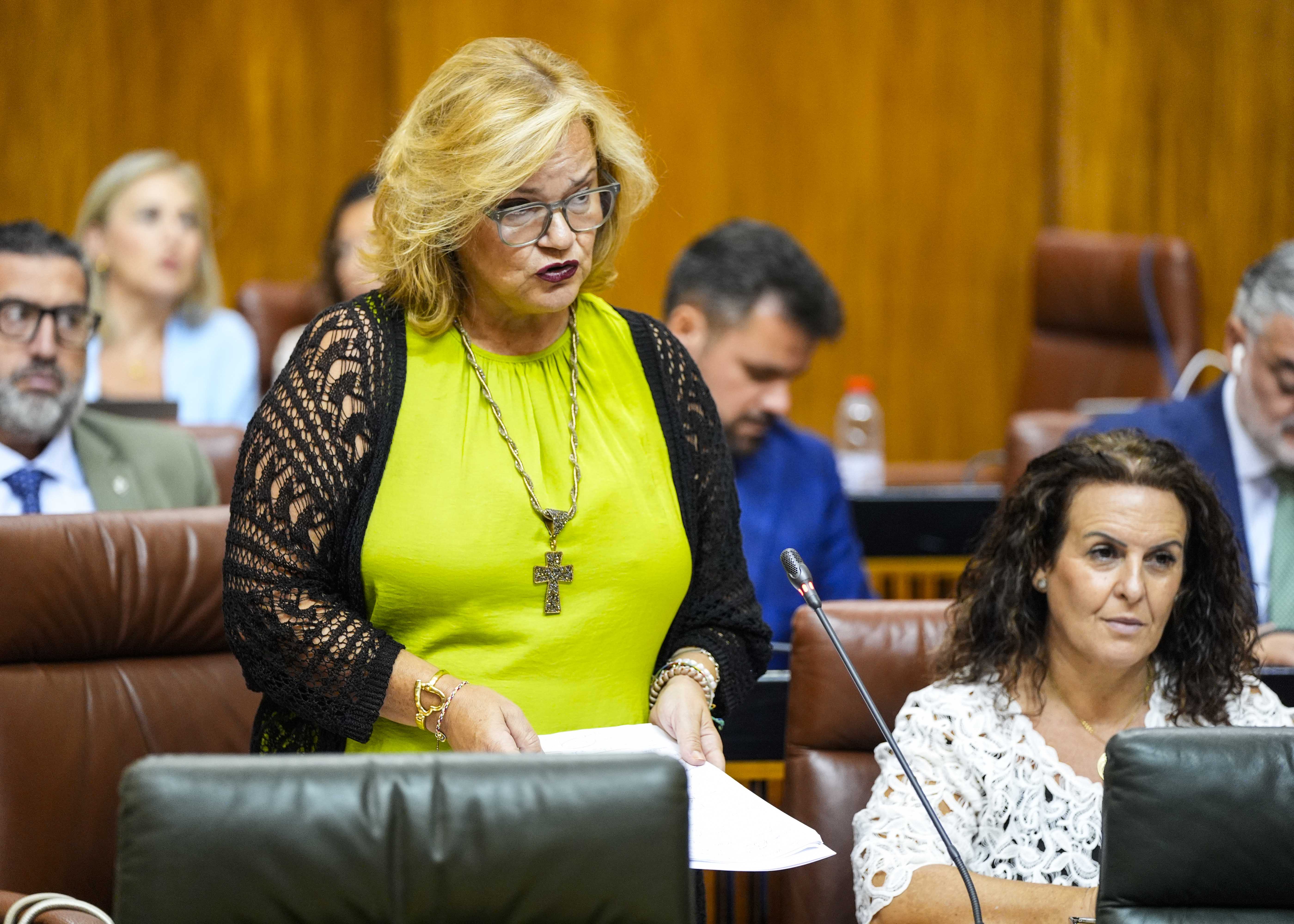 Mara Jos de Alba, del Grupo Popular, pregunta sobre la situacin actualizada de la crisis migratoria en Andaluca