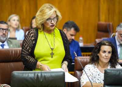 Mara Jos de Alba, del Grupo Popular, pregunta sobre la situacin actualizada de la crisis migratoria en Andaluca