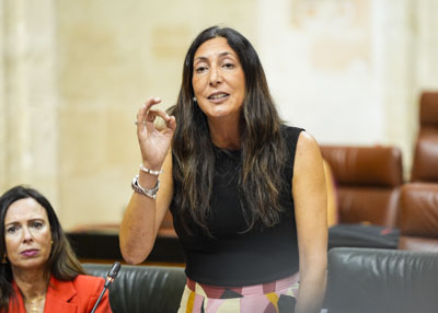 La consejera de Inclusin Social, Juventud, Familias e Igualdad, Loles Lpez, responde a la cuestin de su competencia 