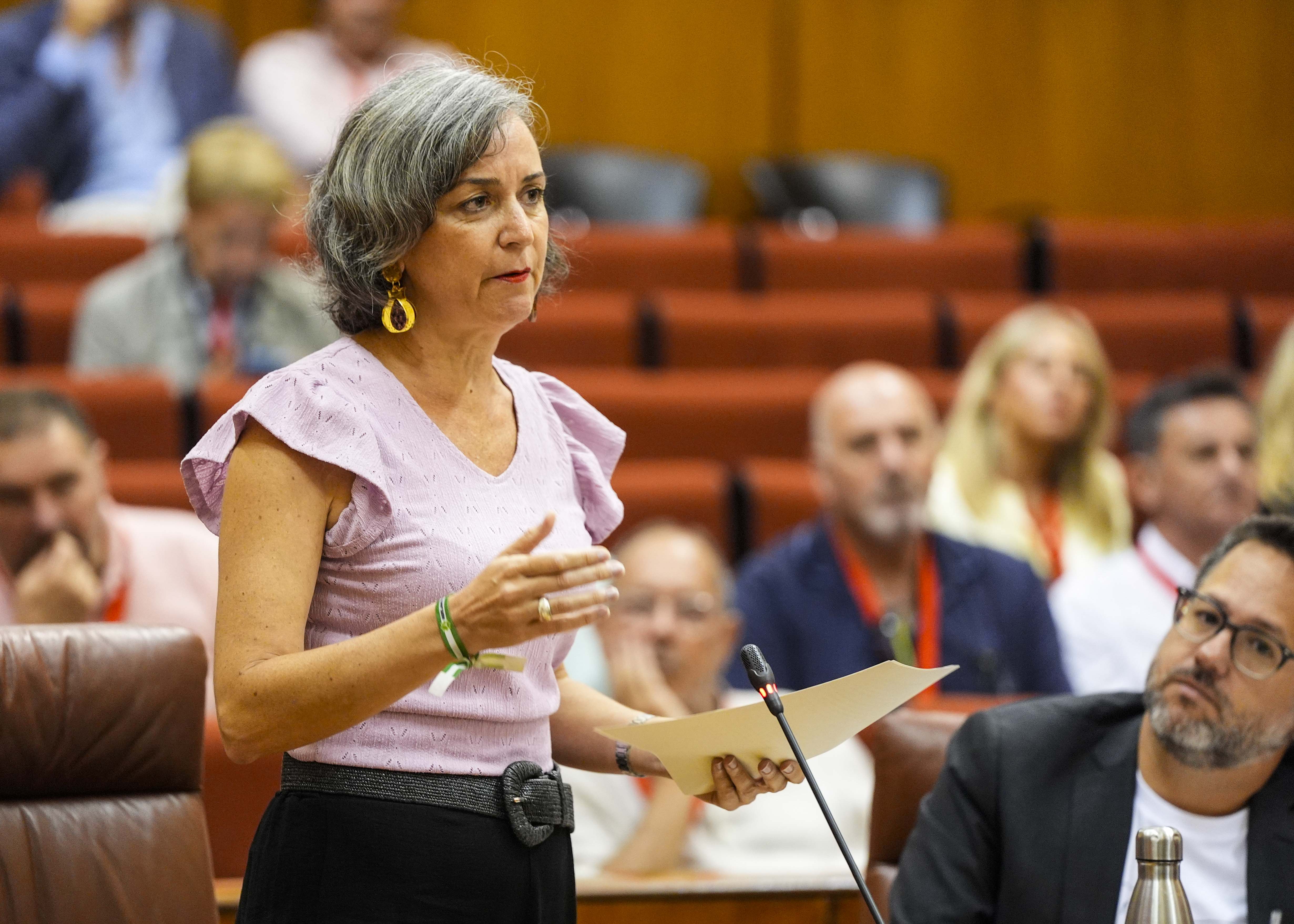 Miren Begoe Iza, presidenta del G.P. Mixto-Adelante Andaluca, formula una pregunta relativa al incendio en la Mezquita de Crdoba 