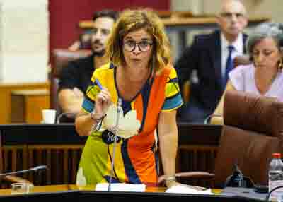  Esperanza Gmez, del G.P. Por Andaluca, formula una pregunta relativa a Minera Los Frailes  