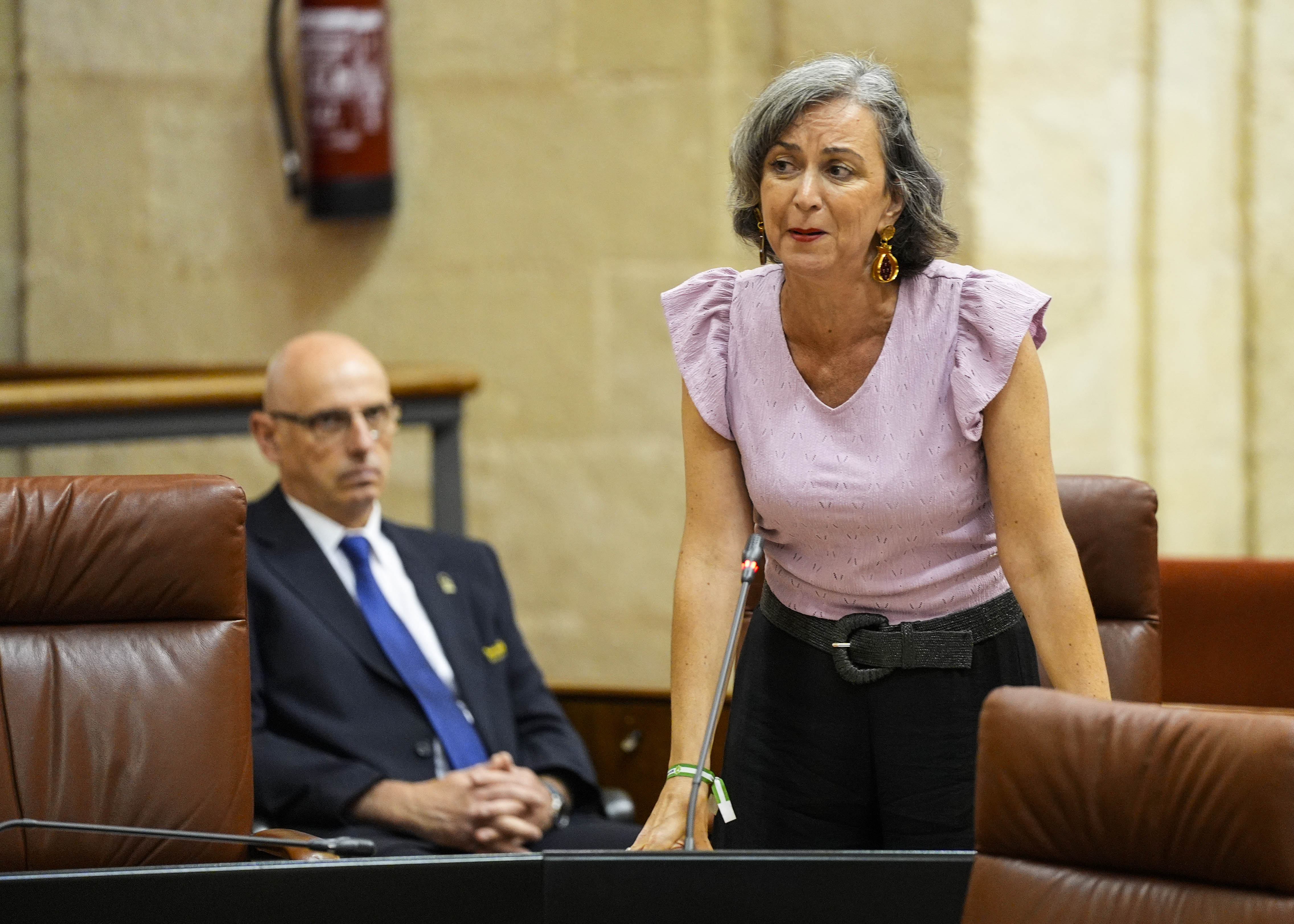 Miren Begoe Iza, presidenta del Grupo Mixto-Adelante Andaluca, cierra la sesin de control con una pregunta relativa a ayudas a la vivienda de altos cargos