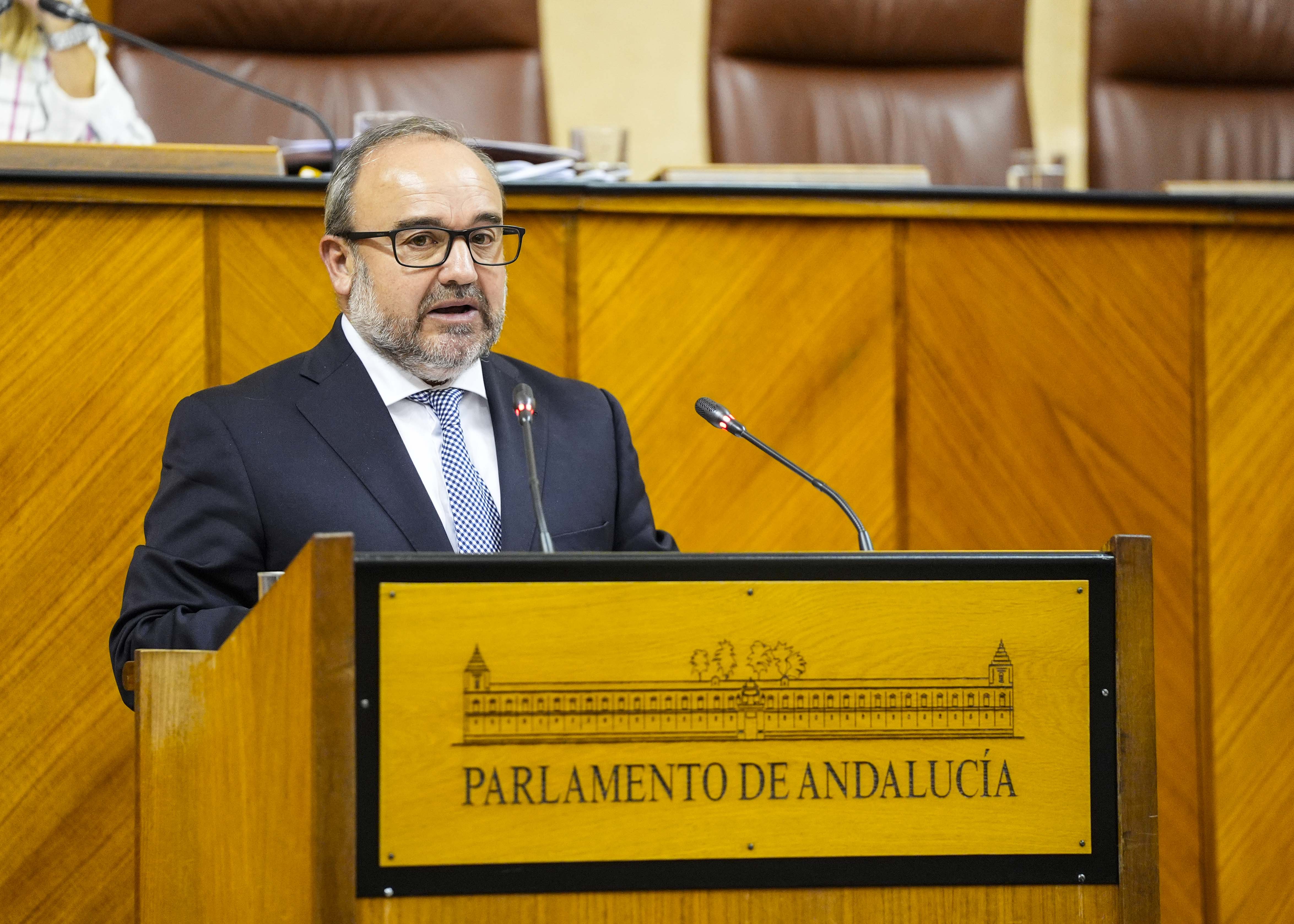 Manuel Alberto Sanromn, del Grupo Popular, argumenta una proposicin no de ley de necesidades de la agricultura andaluza, por la falta de defensa de sus intereses por parte del Gobierno de Espaa en el exterior 