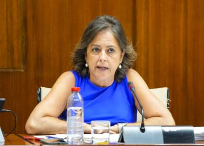  Catalina Garca, consejera de Sostenibilidad y Medio Ambiente, comparece en la comisin de su competencia