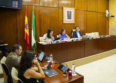  Mesa de la Comisin de Sostenibilidad y Medio Ambiente con la consejera titular