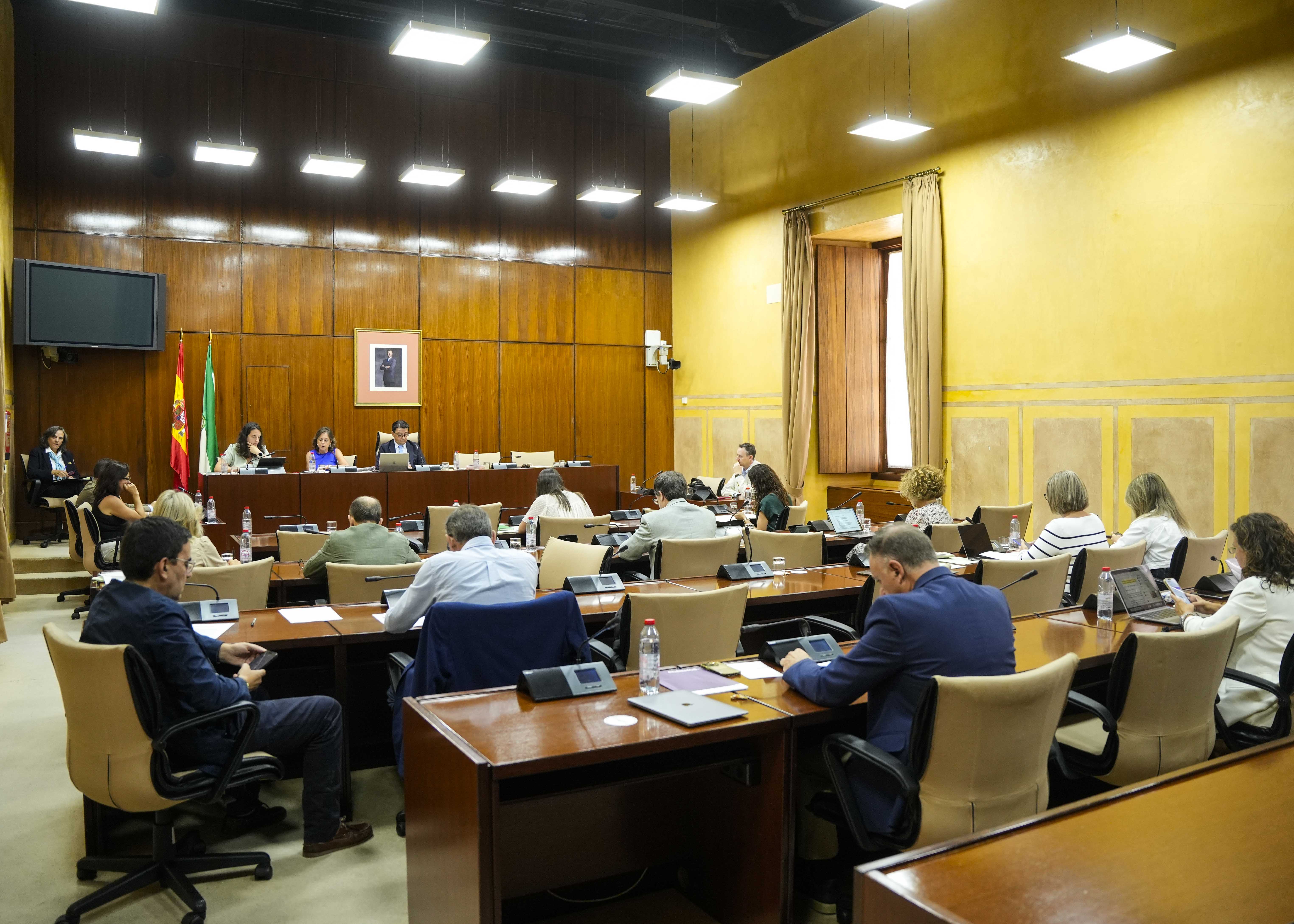  Vista general de la comisin durante la comparecencia de la consejera