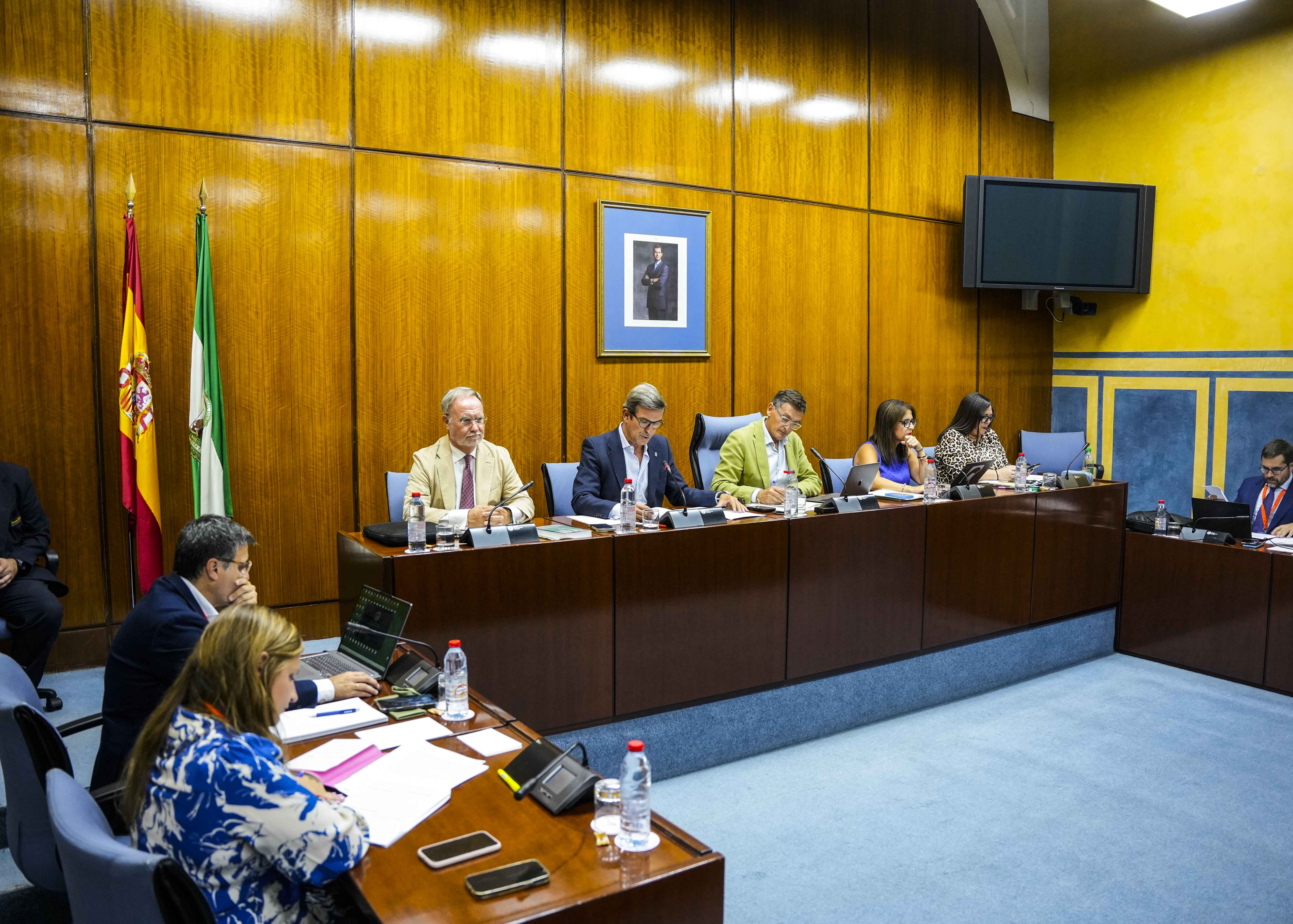 Mesa de la Comisin de Industria con el consejero competente en la materia, Jorge Paradela  
