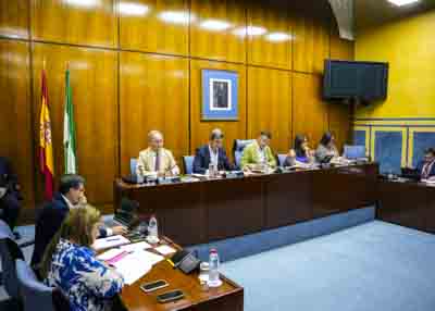 Mesa de la Comisin de Industria con el consejero competente en la materia, Jorge Paradela  