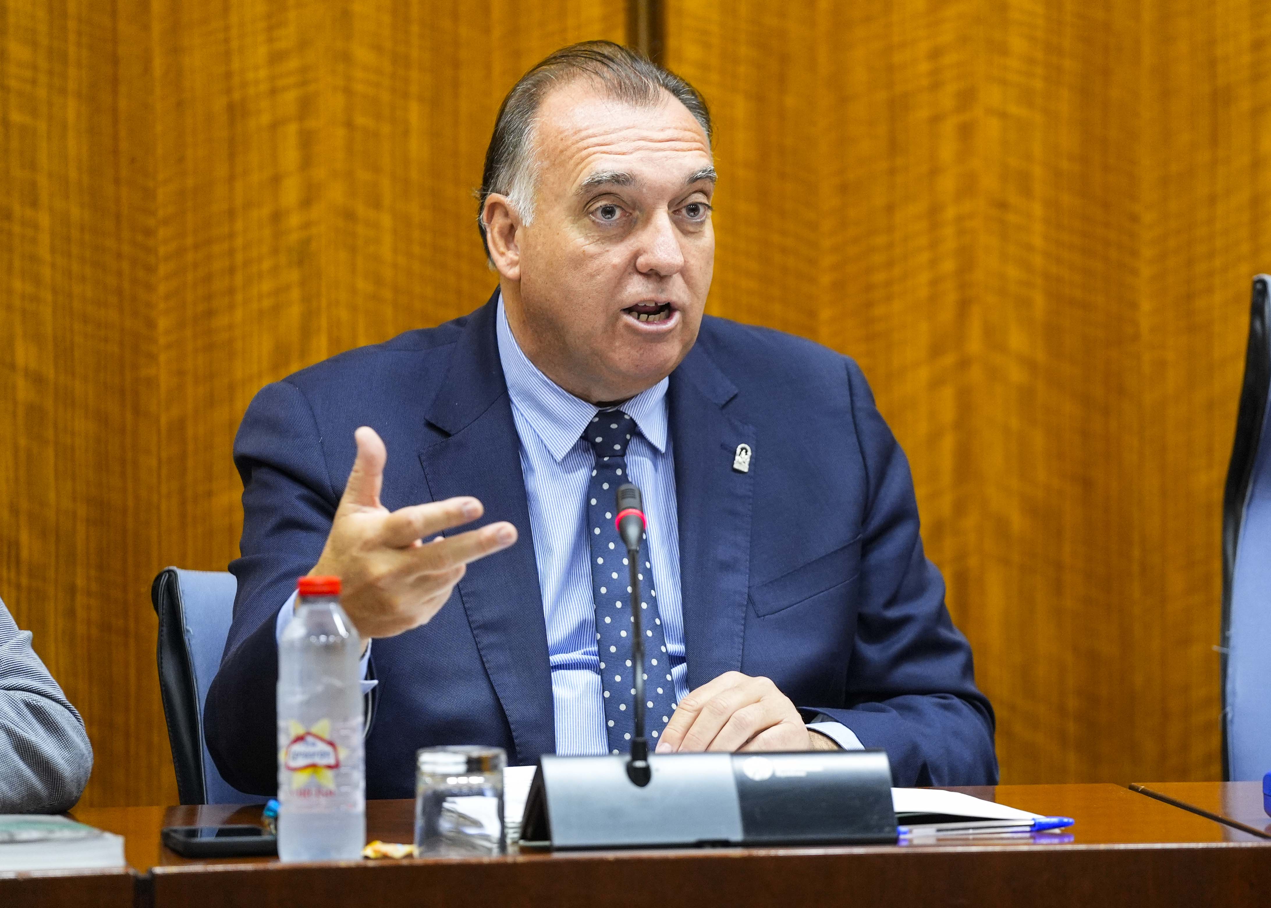  Arturo Bernal, consejero de Turismo y Andaluca Exterior, comparece en la comisin correspondiente