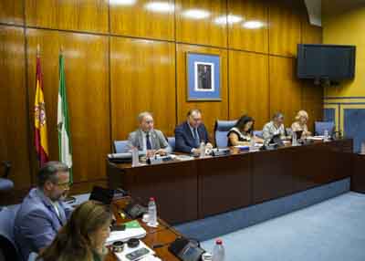  Mesa de la Comisin de Turismo y Andaluca Exterior con el consejero titular