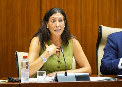 Loles Lpez, consejera de Inclusin Social, Juventud, Familias e Igualdad, durante una de las comparecencias 