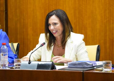  Roco Daz, consejera de Fomento, Articulacin del Territorio y Vivienda en su comparecencia de esta tarde