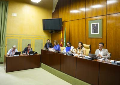  Mesa de la Comisin de Fomento, Articulacin del Territorio y Vivienda con la consejera titular