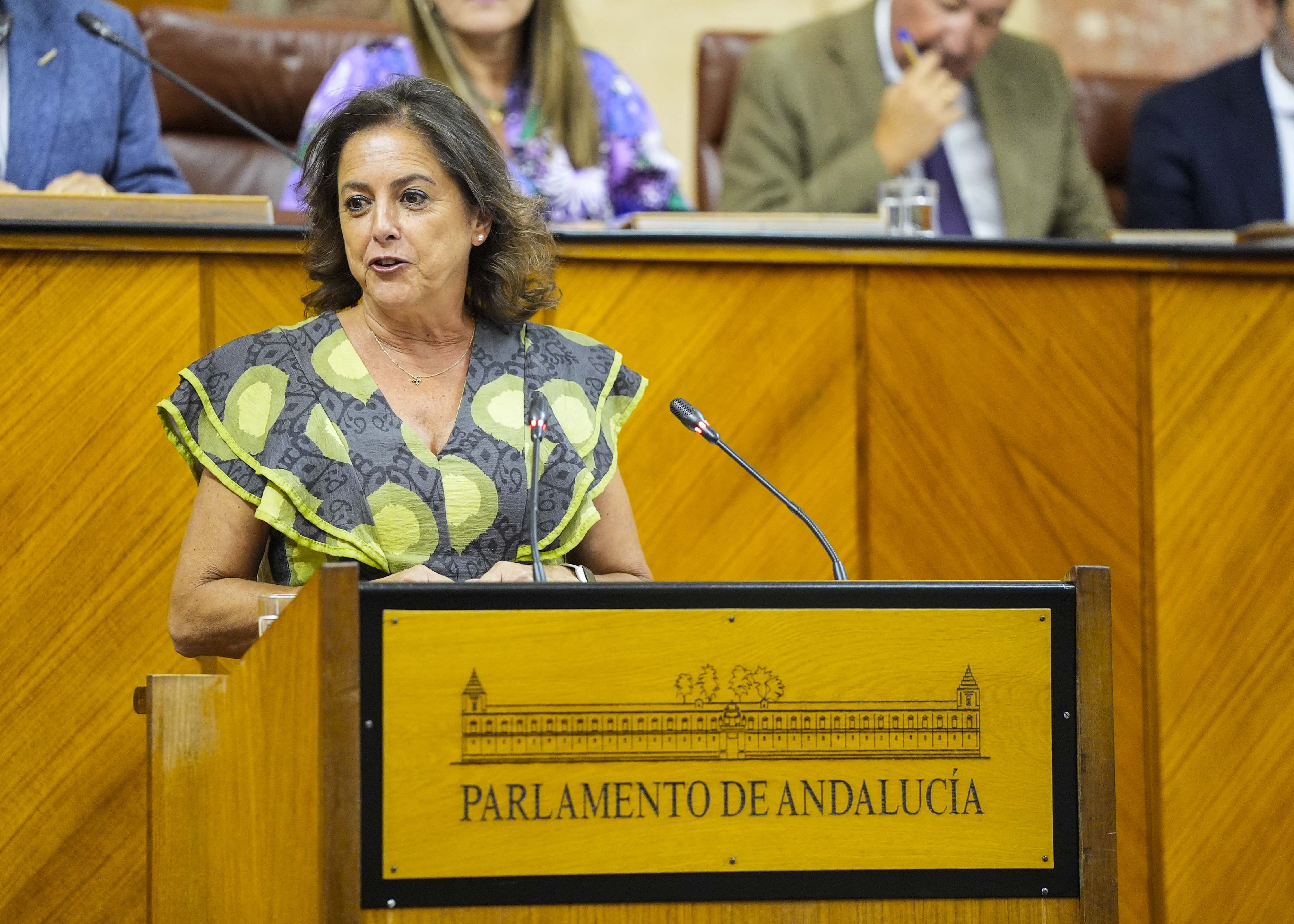  Catalina Garca, consejera de Sostenibilidad y Medio Ambiente, presenta el Proyecto de Ley de Agentes de Medio Ambiente de Andaluca 