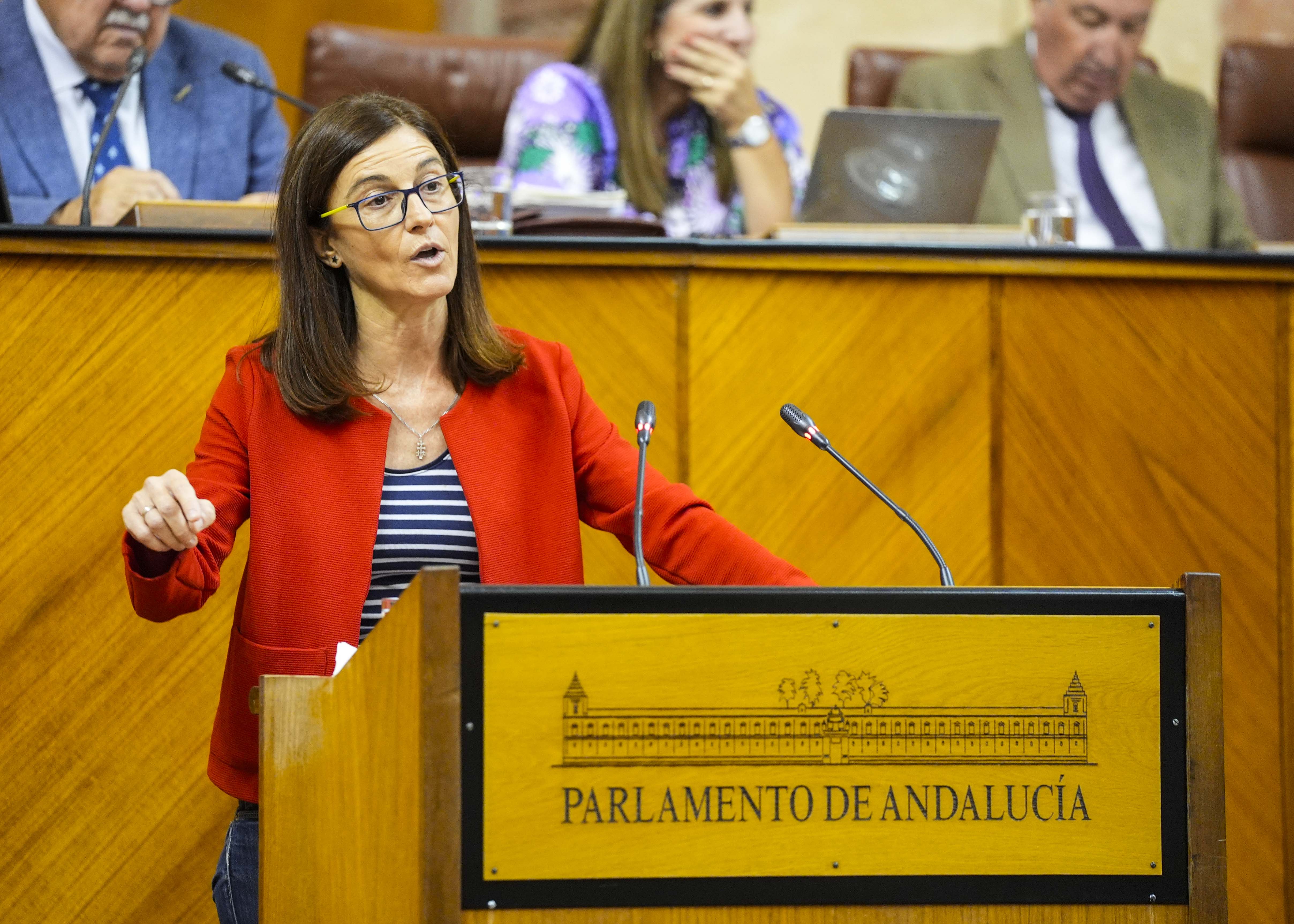 Mara del Pilar Navarro posiciona al Grupo Parlamentario Socialista en el debate del proyecto de ley  