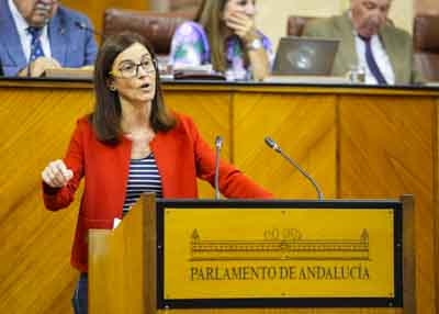 Mara del Pilar Navarro posiciona al Grupo Parlamentario Socialista en el debate del proyecto de ley  