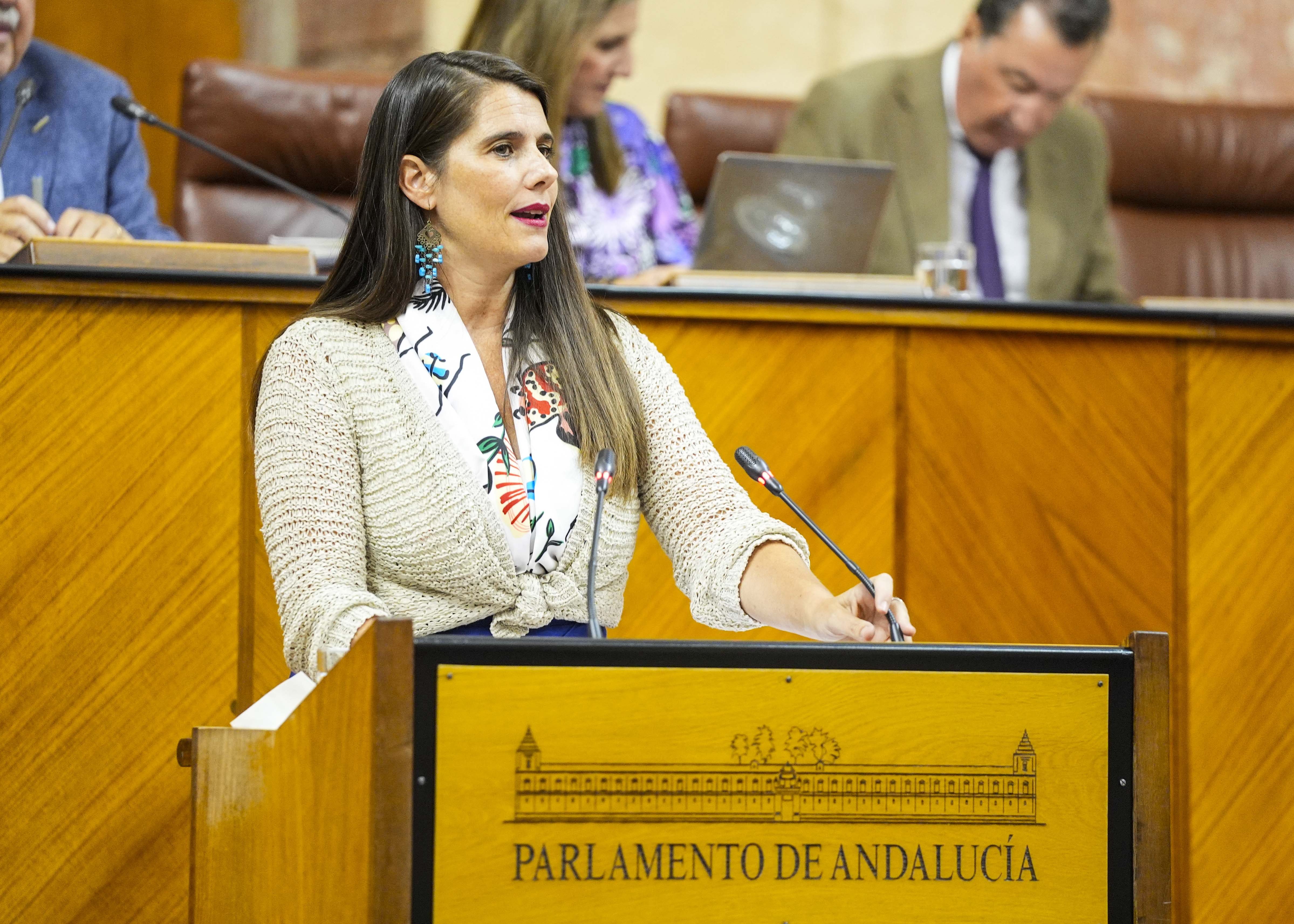 Para defender el parecer del Grupo Parlamentario Popular toma la palabra Araceli Cabello 