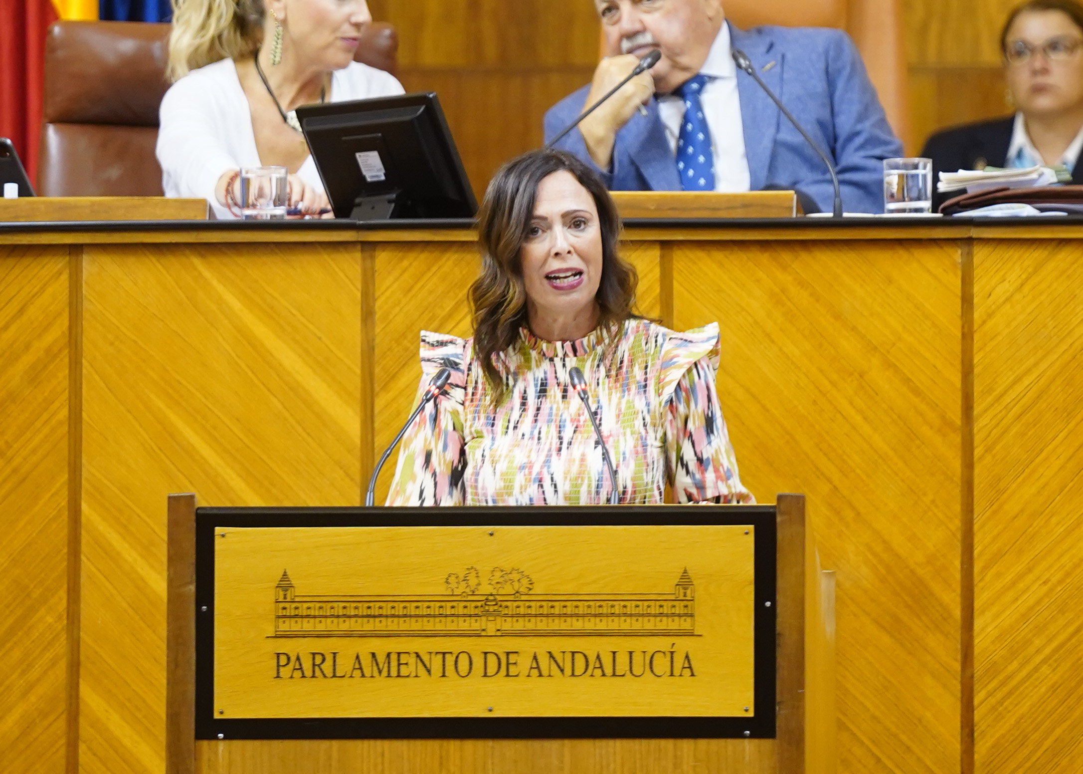 Roco Daz, consejera de Fomento, Articulacin del Territorio y Vivienda comparece para informar sobre Plan de autovas y ejes de gran capacidad de Andaluca 