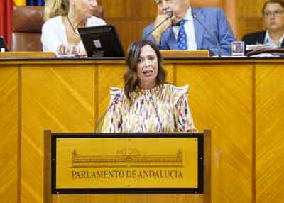 Roco Daz, consejera de Fomento, Articulacin del Territorio y Vivienda comparece para informar sobre Plan de autovas y ejes de gran capacidad de Andaluca 